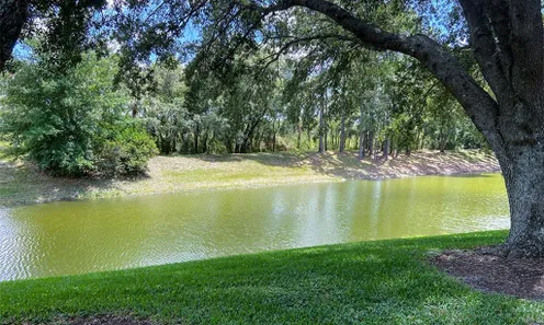 Scenic Ponds