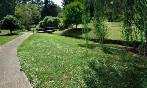 Parks & Natural Space