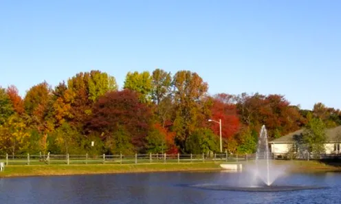 Beautiful Water Features
