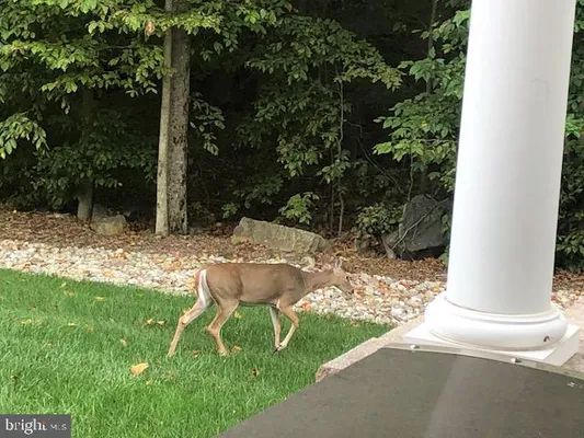 Property Slideshow image 3 of 56 | 38 edgemere dr, Kendall Park, NJ, 08824