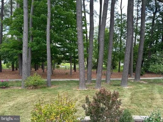 Property Slideshow image 3 of 4 | 29684 sullivan dr, Easton, MD, 21601
