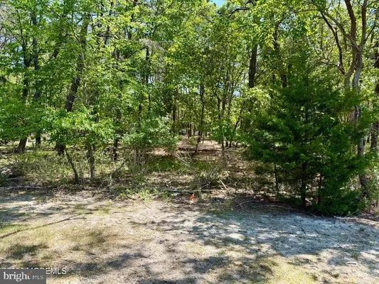 Property Slideshow image 3 of 48 | 16 franklin ln b, Whiting, NJ, 08759