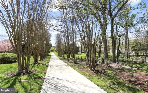 Property Slideshow image 3 of 13 | 15115 interlachen dr 3-812, Silver Spring, MD, 20906