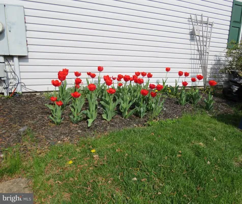Property Slideshow image 2 of 37 | 505 goldenrod xing, New Hope, PA, 18938