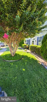 Property Slideshow image 3 of 48 | 12904 fetlar way, Bristow, VA, 20136