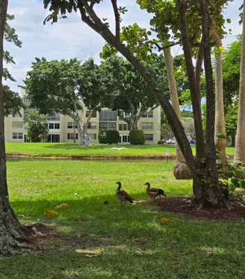 Property Slideshow image 3 of 35 | 14623 bonaire blvd 604, Delray Beach, FL, 33446