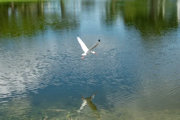 Property Slideshow image 2 of 28 | 2085 wolverton e unit e, Boca Raton, FL, 33434