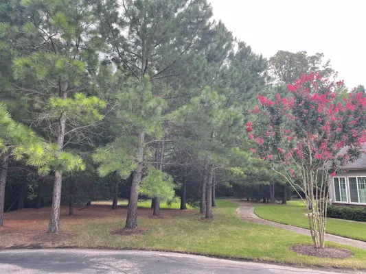 Property Slideshow image 3 of 20 | 310 stonevillage dr 9, Collierville, TN, 38017