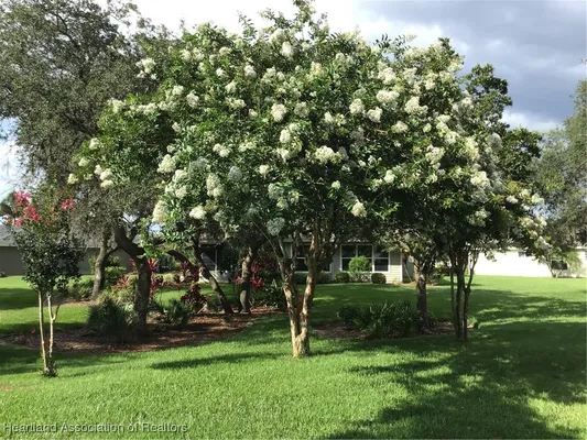 Property Slideshow image 3 of 46 | 3509 e saint andrews dr, Avon Park, FL, 33825