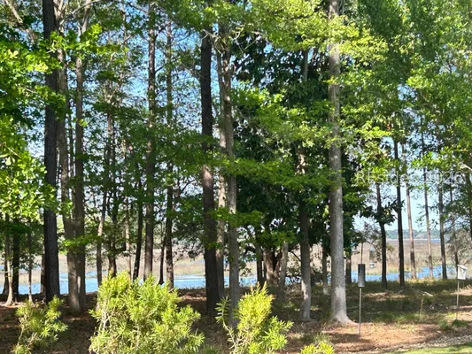 Property Slideshow image 2 of 63 | 146 cutter cir, Bluffton, SC, 29909