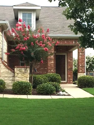 Property Slideshow image 2 of 22 | 559 rockledge ct, Frisco, TX, 75036