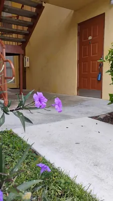 Property Slideshow image 3 of 37 | 7610 westwood dr 122, Tamarac, FL, 33321