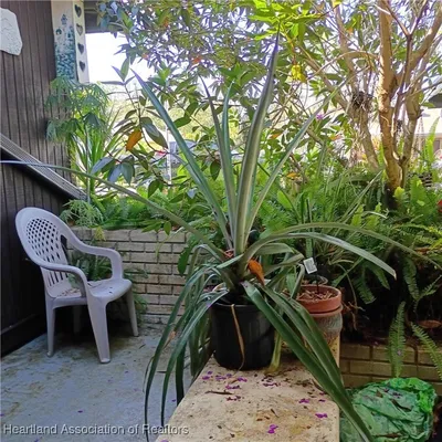 Property Slideshow image 3 of 26 | 41 jasmine st, Lake Placid, FL, 33852