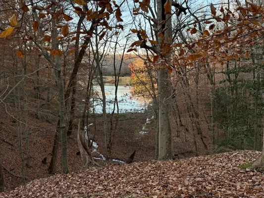 Property Slideshow image 3 of 21 | 220 richard burbydge, Williamsburg, VA, 23185