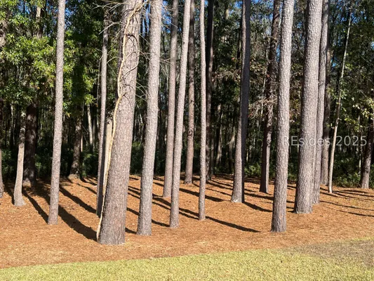 Property Slideshow image 3 of 30 | 112 cypress holw, Bluffton, SC, 29909