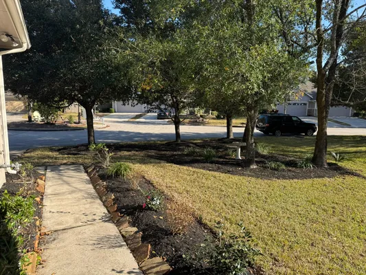 Property Slideshow image 3 of 31 | 43 abercrombie pl, Conroe, TX, 77384