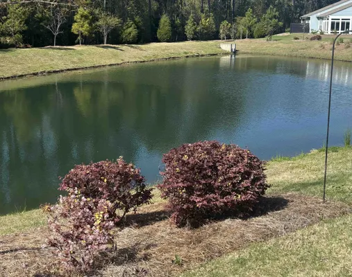 Property Slideshow image 3 of 14 | 5935 cremona dr, Myrtle Beach, SC, 29577