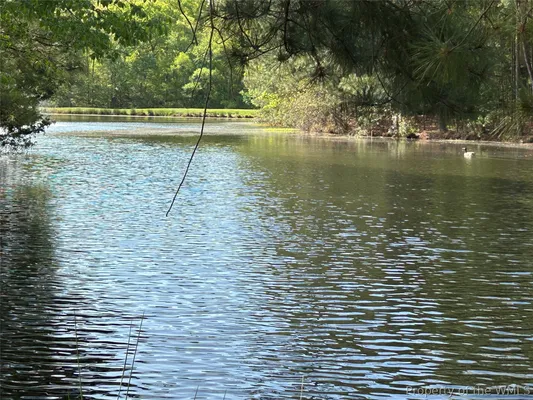 Property Slideshow image 3 of 50 | 3005 e whittaker close, Williamsburg, VA, 23185