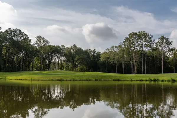 Property Slideshow image 3 of 11 | 7007 putter point dr, Porter, TX, 77365