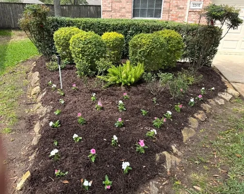 Property Slideshow image 3 of 20 | 2202 capri ct, Pearland, TX, 77581