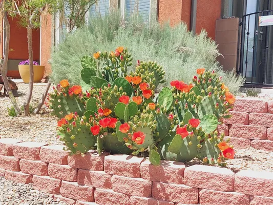 Property Slideshow image 2 of 4 | 3960 mora river ave, Los Lunas, NM, 87031