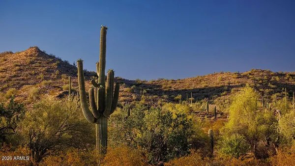 Property Slideshow image 2 of 13 | 31583 n goldfield rd, Queen Creek, AZ, 85144