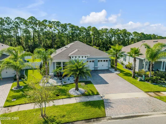 Property Slideshow image 3 of 64 | 3027 borassus dr, New Smyrna Beach, FL, 32168