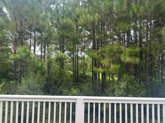 Property Slideshow image 3 of 46 | 65 golden bell ct 65c, Inlet Beach, FL, 32461
