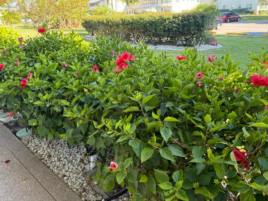 Property Slideshow image 3 of 20 | 81 camden d, West Palm Beach, FL, 33417