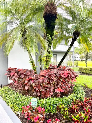 Property Slideshow image 2 of 21 | 209 suffolk e unit e, Boca Raton, FL, 33434