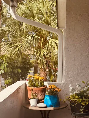 Property Slideshow image 3 of 17 | 13548 sabal palm ct c, Delray Beach, FL, 33484