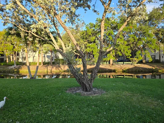 Property Slideshow image 2 of 10 | 1320 nw 82nd ave, Plantation, FL, 33322