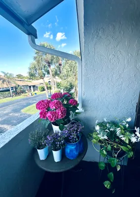 Property Slideshow image 3 of 16 | 13548 sabal palm ct c, Delray Beach, FL, 33484