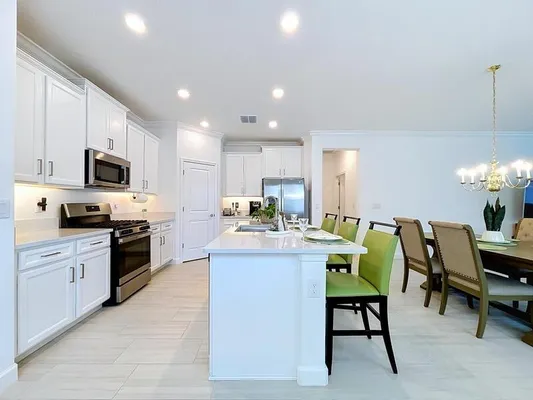 Property Slideshow image 3 of 99 | 17228 star banks st, Wimauma, FL, 33598