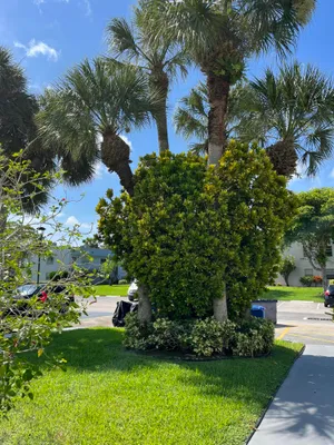 Property Slideshow image 3 of 3 | 23 piedmont a, Delray Beach, FL, 33484
