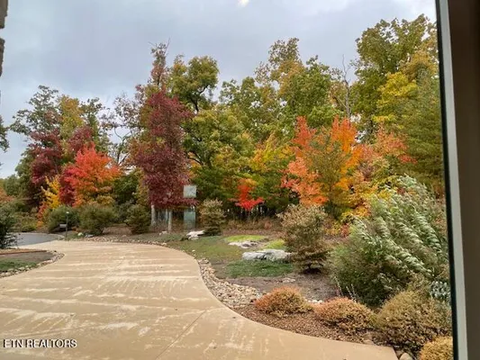 Property Slideshow image 3 of 61 | 61 bluff view ct, Crossville, TN, 38558