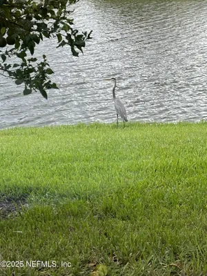 Property Slideshow image 2 of 42 | 501 n legacy trl, St. Augustine, FL, 32092