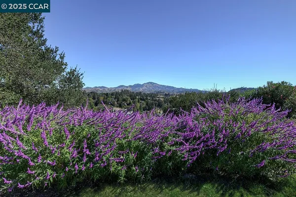 Property Slideshow image 2 of 48 | 2148 golden rain rd apt 1, Walnut Creek, CA, 94595