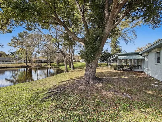 Property Slideshow image 3 of 94 | 1446 queen anne blvd, Palm Harbor, FL, 34684