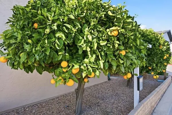 Property Slideshow image 3 of 23 | 634 via santa cruz, Vista, CA, 92081