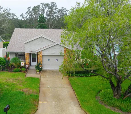 Property Slideshow image 3 of 51 | 11719 rose tree dr, New Port Richey, FL, 34654