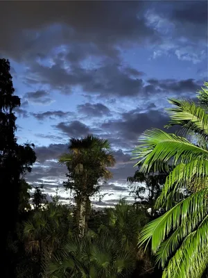 Property Slideshow image 2 of 5 | 1155 glendora rd n, Kissimmee, FL, 34759