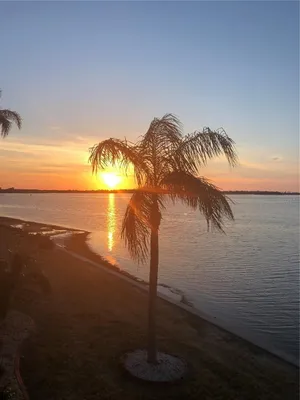 Property Slideshow image 2 of 34 | 7 dunoon pl apt 203, Dunedin, FL, 34698