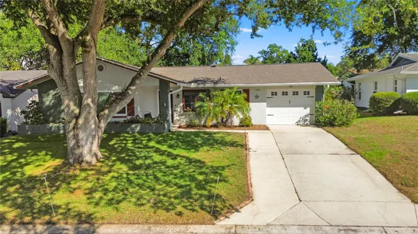 Property Slideshow image 2 of 43 | 10616 springwood dr, Port Richey, FL, 34668