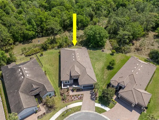 Property Slideshow image 2 of 61 | 20003 umbria hill dr, Tampa, FL, 33647