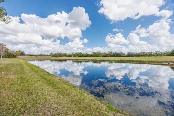 Property Slideshow image 3 of 98 | 917 villeroy greens dr 72, Sun City Center, FL, 33573