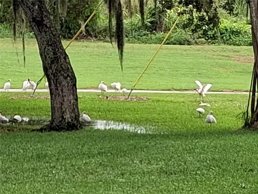 Property Slideshow image 3 of 27 | 7 vista gardens trl 105, Vero Beach, FL, 32962