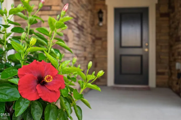Property Slideshow image 3 of 51 | 1618 vineyard mist dr, Cary, NC, 27519