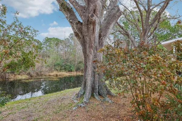 Property Slideshow image 2 of 60 | 312 brigadoon cir # 312, Leesburg, FL, 34788