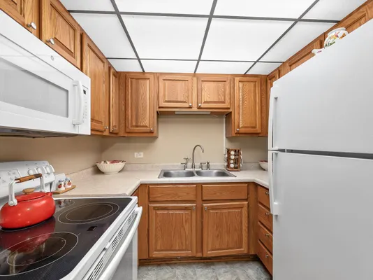 Property Slideshow image 2 of 25 | 5540 walnut ave apt 33a, Downers Grove, IL, 60515